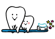 歯のイラスト