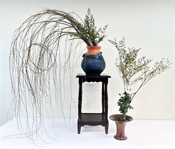 写真：1月の花の画像