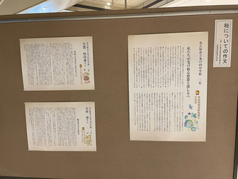 写真：作文の展示