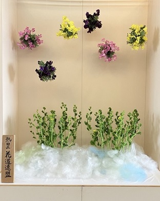 令和7年春のいけ花展の花