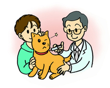 犬の予防注射のイラスト