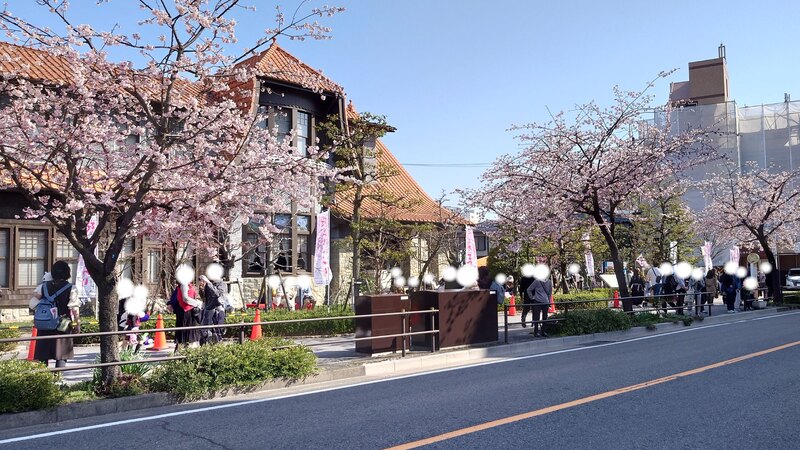 桜みちまつりの様子