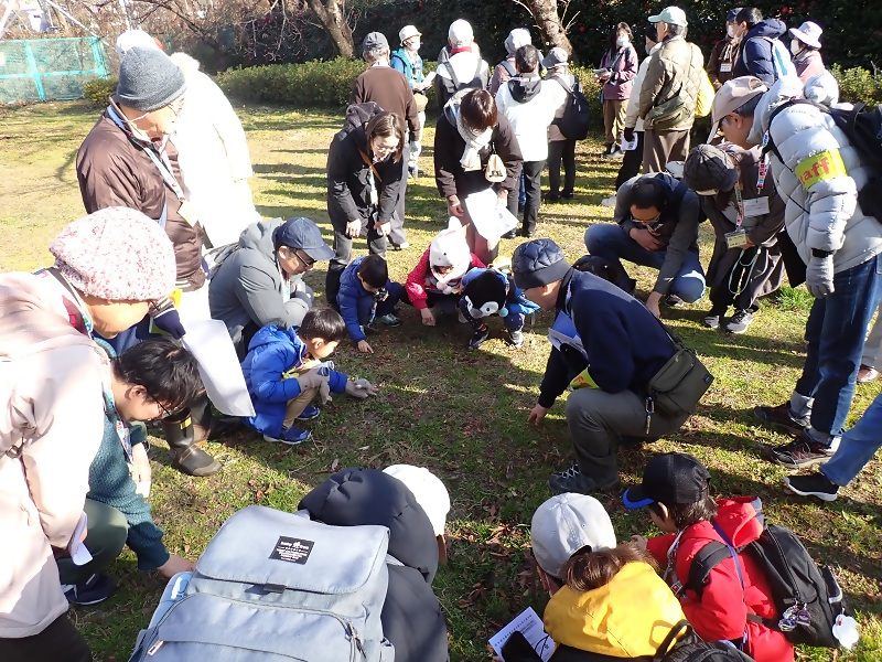 写真：足元の植物を観察中