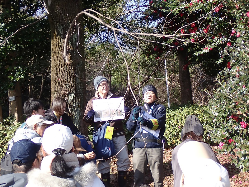 写真：散策会サポーターの解説