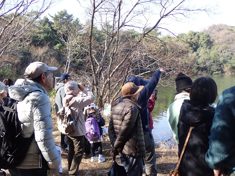 写真：牧野池のほとりで水鳥を観察