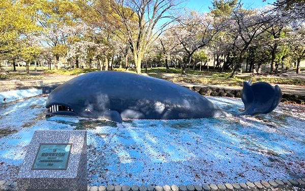 写真：道徳公園クジラ池噴水 （南区)