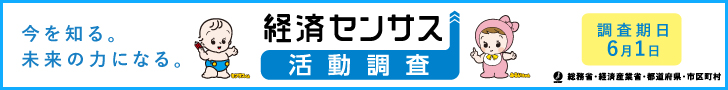 e-census2