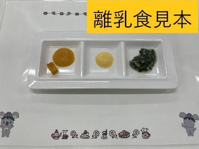 写真：離乳食見本