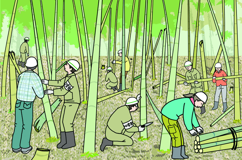 保全活動のイメージ画像