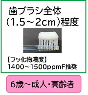 イラスト：6歳から高齢者は、歯ブラシ全体に1.5から2センチの量を使う。推奨されるフッ化物濃度は、1400から1500ppmF。