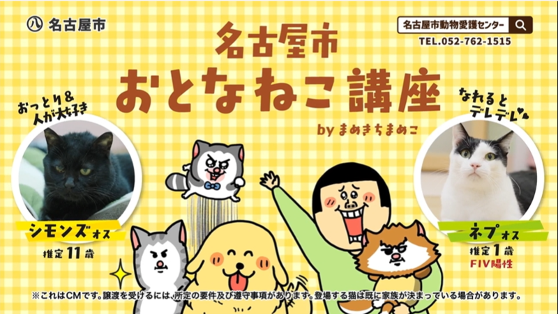 写真：1カット目 ナレーション「名古屋市おとなねこ講座！」