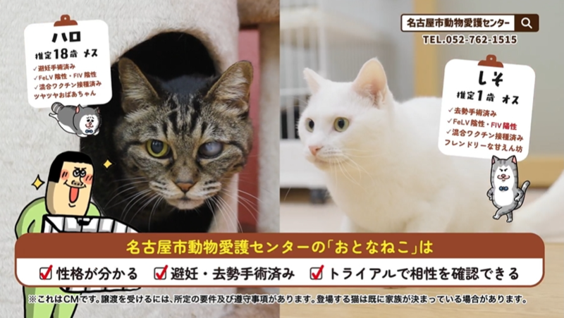 写真：3カット目ナレーション「性格が分かるし、トライアルで飼い主さんと相性チェック！」