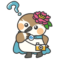 みなぴぃの画像