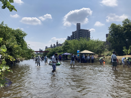 画像:観察会の様子