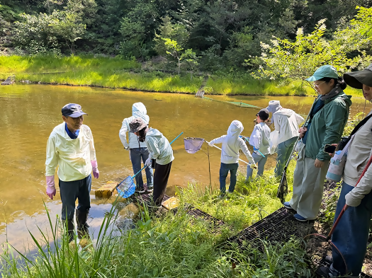 画像:生き物探しの様子