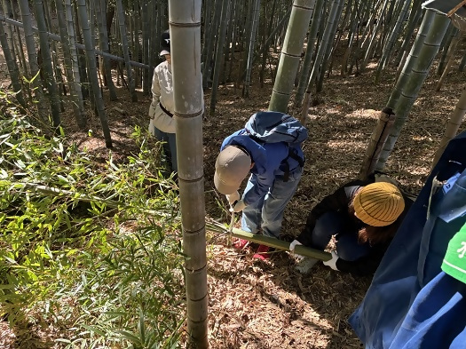 画像:竹林伐採の様子