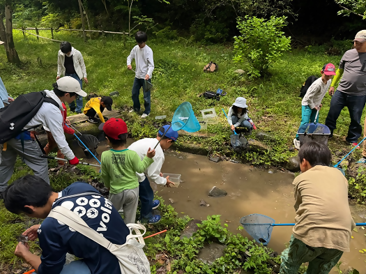 画像:観察会の様子