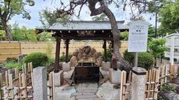 写真:常泉寺豊太閤産湯の井戸