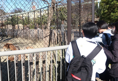 東山動物園の見学
