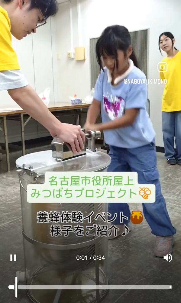 動画キャプチャ画像
