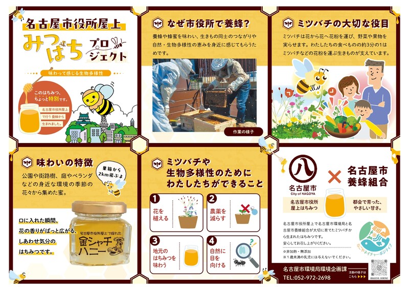 金シャチハニーチラシ画像