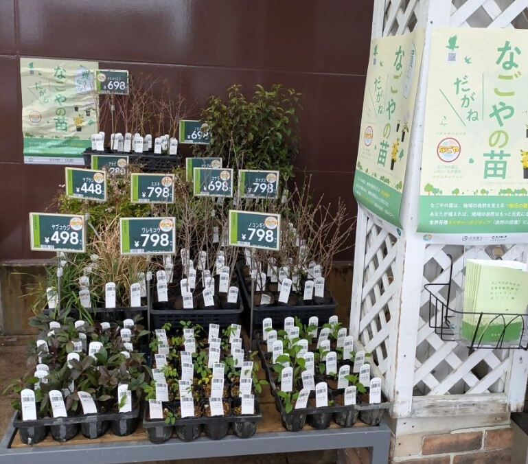 カインズ堀田店のコーナーの様子画像