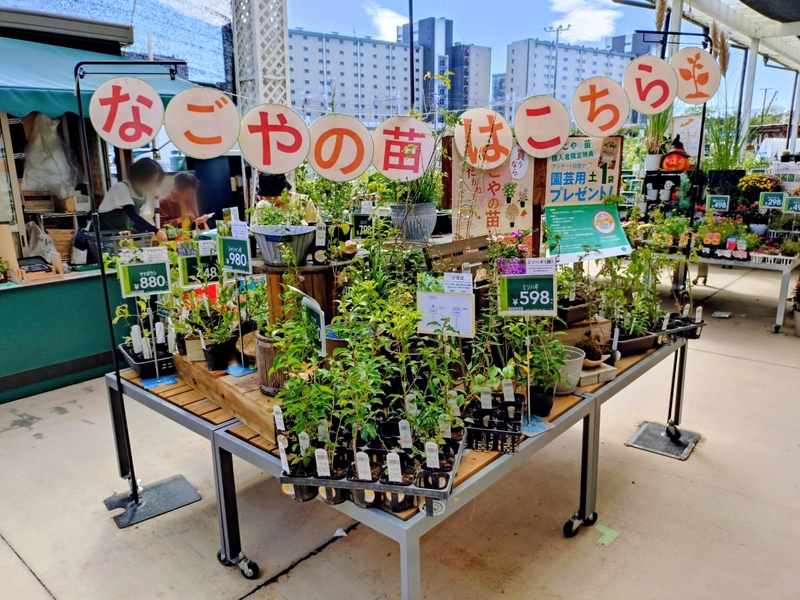 カインズ堀田店のコーナーの様子画像