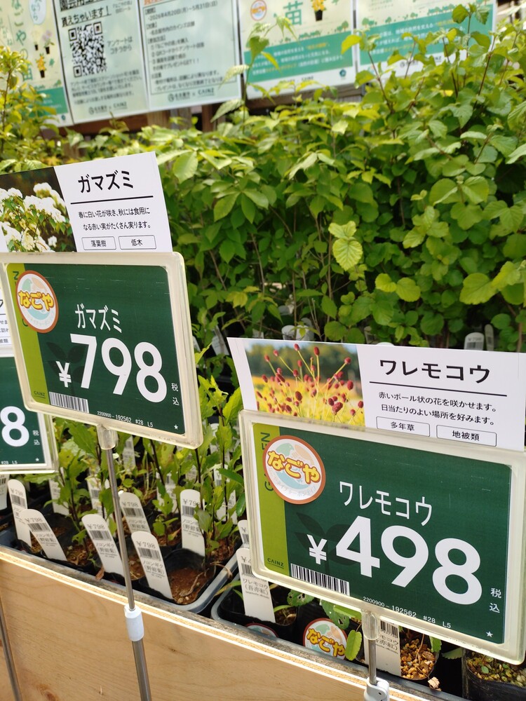 店舗の様子画像