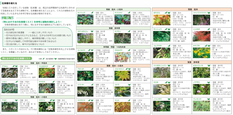 特におすすめ在来種イメージ画像