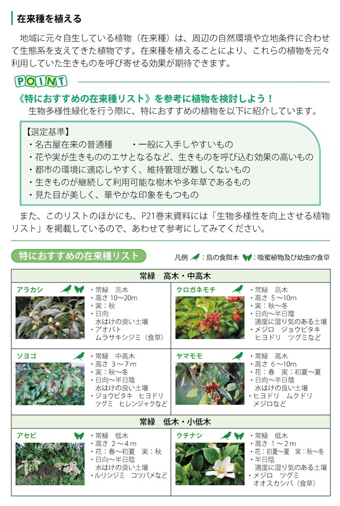 特におすすめ在来種イメージ画像