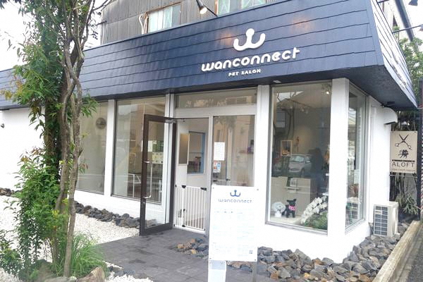 PET SALON Wanconnect