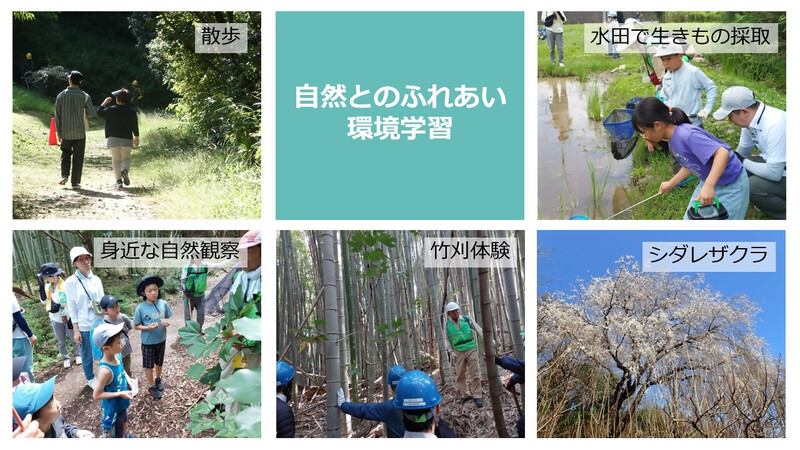 猪高緑地の生物多様性の恵みを示した画像
