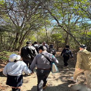 ウォーキングの様子