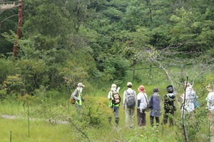写真:春の八竜緑地自然観察会の様子
