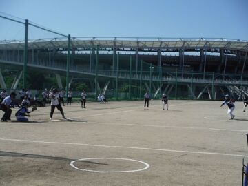 第43回瑞穂区ソフトボール大会（女子の部）の写真