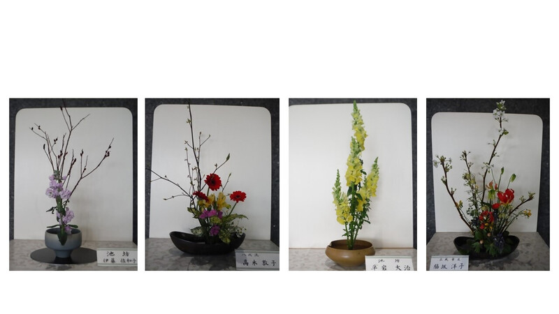 令和8年3月の心の花