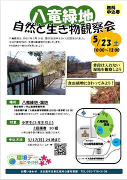 写真：八竜緑地　自然と生き物観察会のチラシ