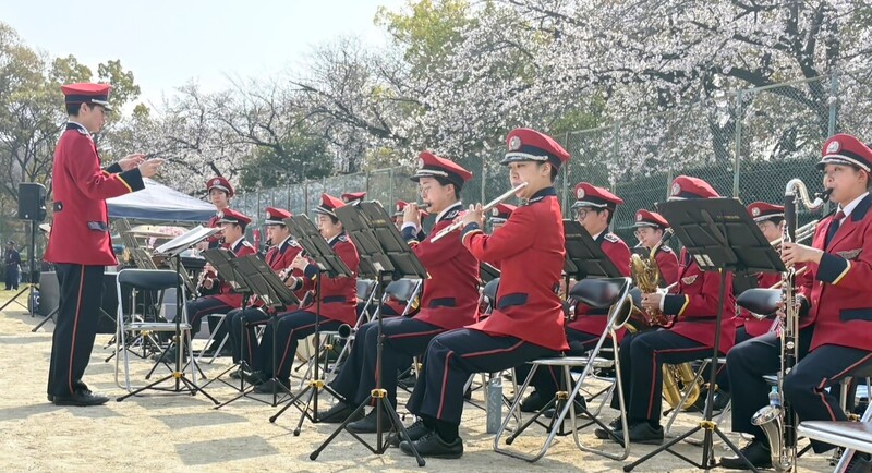 桜の下で演奏する消防音楽隊