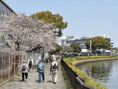 画像：桜の下を歩く人たち