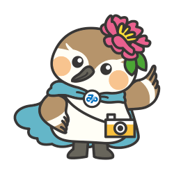 みなぴぃの画像