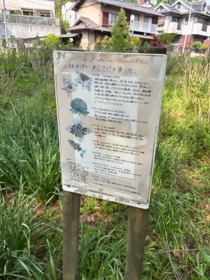 写真：茶屋ヶ坂公園の掲示物