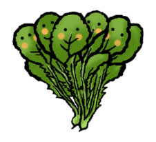 あいちの伝統野菜大高菜のイラスト