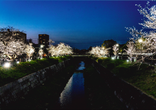 受賞作品画像「夜空に輝く瑞穂の夜桜」