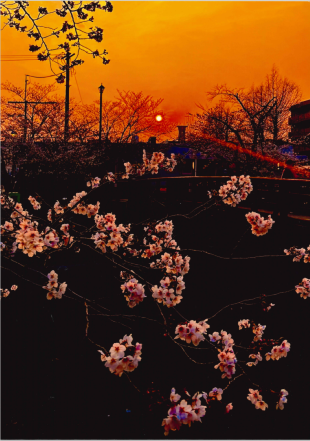 受賞作品画像「黄昏にそっと差す平和の光」