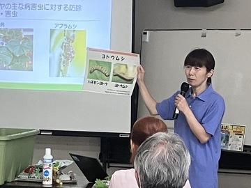写真：緑のカーテンづくり講習会1