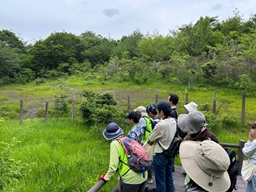 八竜湿地を散策する参加者