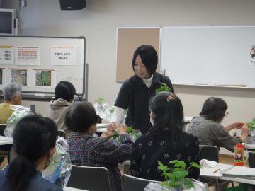 写真：緑のカーテンづくり講習会2