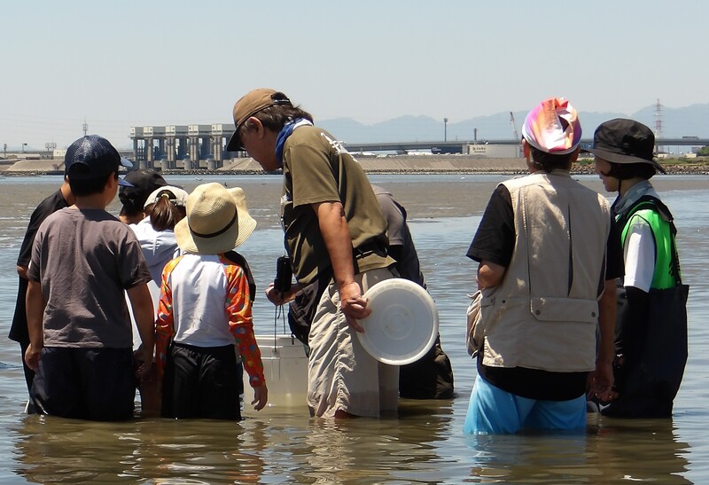 藤前干潟生き物観察会（春）の様子