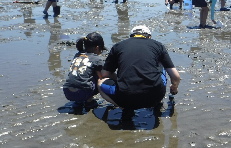 生き物観察を行っている様子