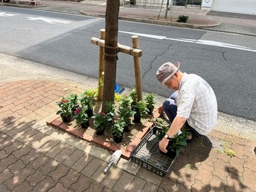 写真：花植えの様子2